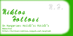 miklos hollosi business card